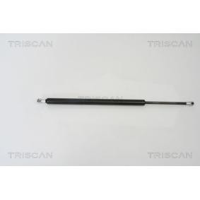 Heckklappendämpfer 8710 16242 von TRISCAN günstig für 28,82 € online kaufen