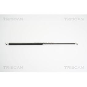 Heckklappendämpfer 8710 16247 von TRISCAN günstig für 46,24 € online kaufen