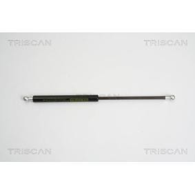 Heckklappendämpfer 8710 16248 von TRISCAN günstig für 30,50 € online kaufen