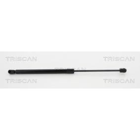 Heckklappendämpfer 8710 16255 von TRISCAN günstig für 31,44 € online kaufen