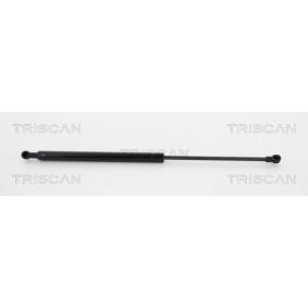 Heckklappendämpfer 8710 17219 von TRISCAN günstig für 30,97 € online kaufen