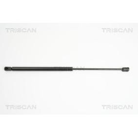 Heckklappendämpfer 8710 18218 von TRISCAN günstig für 62,98 € online kaufen