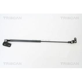 Heckklappendämpfer 8710 18222 von TRISCAN günstig für 27,10 € online kaufen