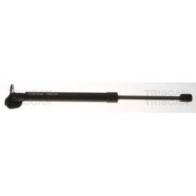 Heckklappendämpfer 8710 18224 von TRISCAN günstig für 34,45 € online kaufen