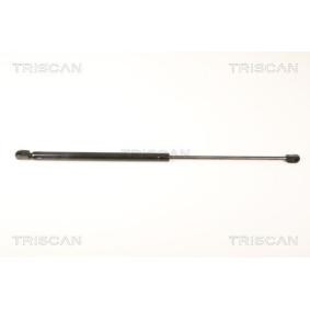 Heckklappendämpfer 8710 18225 von TRISCAN günstig für 86,93 € online kaufen