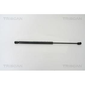 Heckklappendämpfer 8710 23212 von TRISCAN günstig für 28,69 € online kaufen