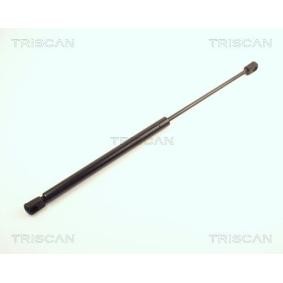 Heckklappendämpfer 8710 25201 von TRISCAN günstig für 64,65 € online kaufen