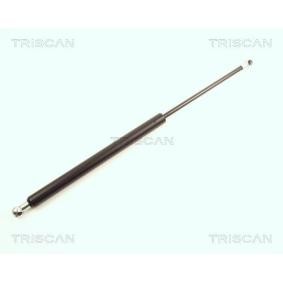 Heckklappendämpfer 8710 25209 von TRISCAN günstig für 23,55 € online kaufen