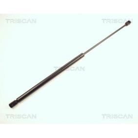 Heckklappendämpfer 8710 25210 von TRISCAN günstig für 25,70 € online kaufen