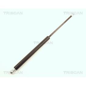 Heckklappendämpfer 8710 25220 von TRISCAN günstig für 23,19 € online kaufen