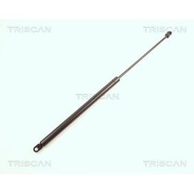 Heckklappendämpfer 8710 27201 von TRISCAN günstig für 14,56 € online kaufen