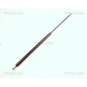 Heckklappendämpfer 8710 27204 von TRISCAN günstig für 62,98 € online kaufen
