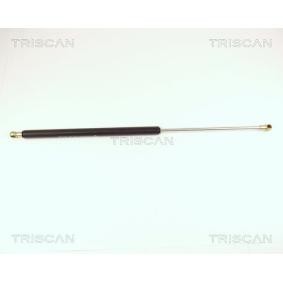 Heckklappendämpfer 8710 27205 von TRISCAN günstig für 62,98 € online kaufen