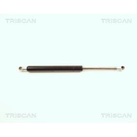 Heckklappendämpfer 8710 27207 von TRISCAN günstig für 55,31 € online kaufen