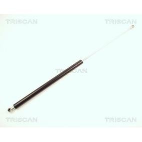 Heckklappendämpfer 8710 27209 von TRISCAN günstig für 28,64 € online kaufen
