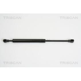 Heckklappendämpfer 8710 27217 von TRISCAN günstig für 29,73 € online kaufen