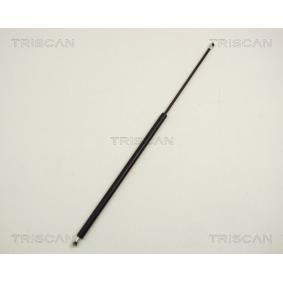 Heckklappendämpfer 8710 28216 von TRISCAN günstig für 32,75 € online kaufen