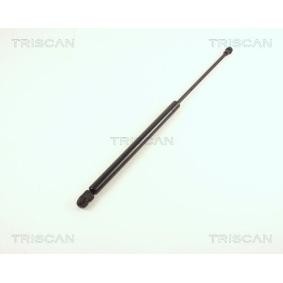 Heckklappendämpfer 8710 29257 von TRISCAN günstig für 22,87 € online kaufen