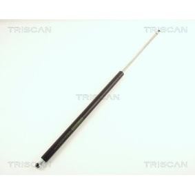 Heckklappendämpfer 8710 38211 von TRISCAN günstig für 23,03 € online kaufen