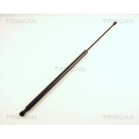 Heckklappendämpfer 8710 38213 von TRISCAN günstig für 28,75 € online kaufen