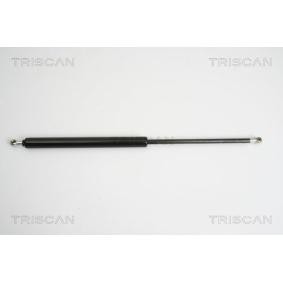 Heckklappendämpfer 8710 38225 von TRISCAN günstig für 40,43 € online kaufen