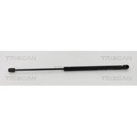 Heckklappendämpfer 8710 40203 von TRISCAN günstig für 27,73 € online kaufen