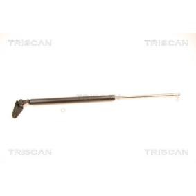 Heckklappendämpfer 8710 40210 von TRISCAN günstig für 13,07 € online kaufen