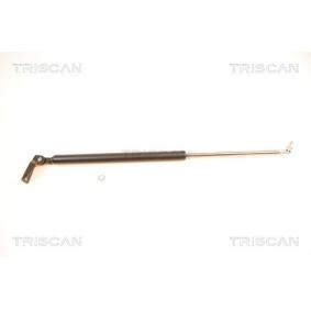 Heckklappendämpfer 8710 40211 von TRISCAN günstig für 13,07 € online kaufen