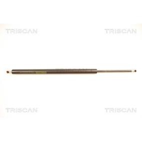 Heckklappendämpfer 8710 40214 von TRISCAN günstig für 18,11 € online kaufen