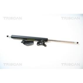 Heckklappendämpfer 8710 40224 von TRISCAN günstig für 20,38 € online kaufen
