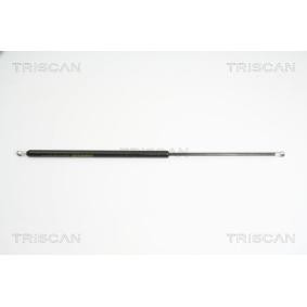 Heckklappendämpfer 8710 40230 von TRISCAN günstig für 25,02 € online kaufen
