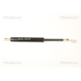 Heckklappendämpfer 8710 40231 von TRISCAN günstig für 49,19 € online kaufen