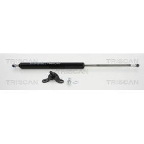 Heckklappendämpfer 8710 40234 von TRISCAN günstig für 25,01 € online kaufen