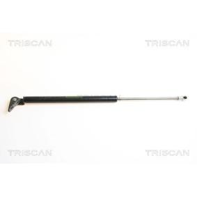 Heckklappendämpfer 8710 43211 von TRISCAN günstig für 31,00 € online kaufen