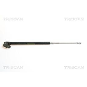 Heckklappendämpfer 8710 43212 von TRISCAN günstig für 31,11 € online kaufen