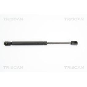 Heckklappendämpfer 8710 43225 von TRISCAN günstig für 17,53 € online kaufen