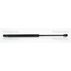 Heckklappendämpfer 8710 43230 von TRISCAN günstig für 68,57 € online kaufen