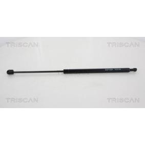 Heckklappendämpfer 8710 43237 von TRISCAN günstig für 30,97 € online kaufen