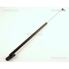 Heckklappendämpfer 8710 50204 von TRISCAN günstig für 26,59 € online kaufen