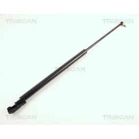 Heckklappendämpfer 8710 50207 von TRISCAN günstig für 13,61 € online kaufen
