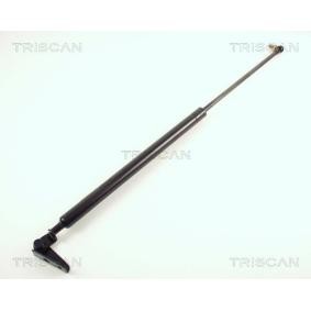 Heckklappendämpfer 8710 50208 von TRISCAN günstig für 13,02 € online kaufen