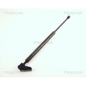 Heckklappendämpfer 8710 50209 von TRISCAN günstig für 18,79 € online kaufen