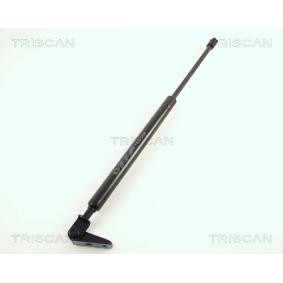 Heckklappendämpfer 8710 50210 von TRISCAN günstig für 38,57 € online kaufen