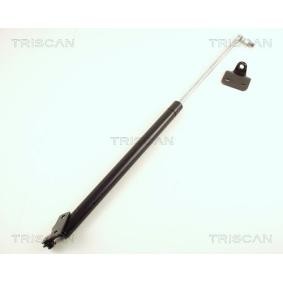 Heckklappendämpfer 8710 50217 von TRISCAN günstig für 17,01 € online kaufen