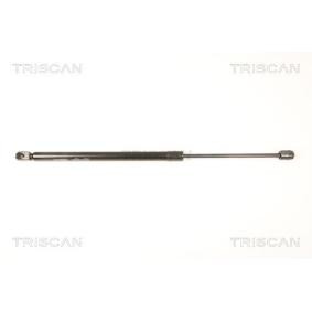 Heckklappendämpfer 8710 50244 von TRISCAN günstig für 25,41 € online kaufen
