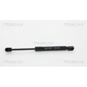 Heckklappendämpfer 8710 50245 von TRISCAN günstig für 13,02 € online kaufen