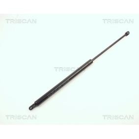 Heckklappendämpfer 8710 6502 von TRISCAN günstig für 18,70 € online kaufen