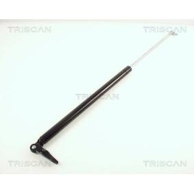 Heckklappendämpfer 8710 68203 von TRISCAN günstig für 33,22 € online kaufen