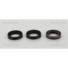 Fahrwerksfeder 8750 11100 von TRISCAN günstig für 53,30 € online kaufen