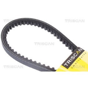 Fahrwerksfeder für NISSAN von TRISCAN